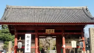 第三十四回 柳営茶会 於 護国寺 令和六年三月十六日