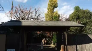小堀遠州流 第六回 弘甫會茶會 於 茶道会館 令和六年十二月八日