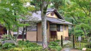 第五十回 如庵茶会 於 犬山 如庵 令和七年十月十日