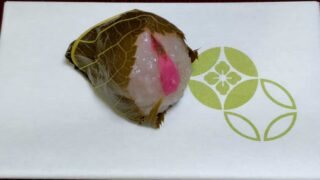 お稽古便り 2026年3月14日