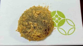 お稽古便り 2026年3月28日