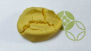 お稽古便り 2026年4月18日