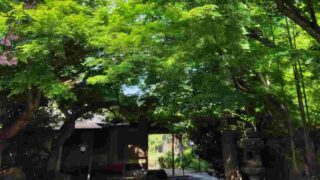 小堀遠州流 第七回 弘甫会茶会 於 茶道会館 令和八年四月十九日