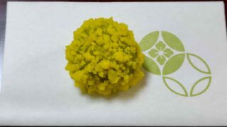 お稽古便り 2026年4月4日