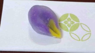お稽古便り 2026年5月30日